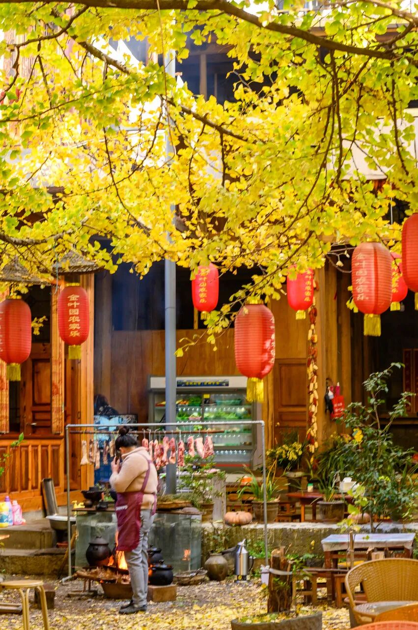 超适合“发呆”的小城，比昆明宜居，游客不及大理一半，四季如春，3元茶水免费续，10元咖啡喝到爽，洗掉一身班味儿！