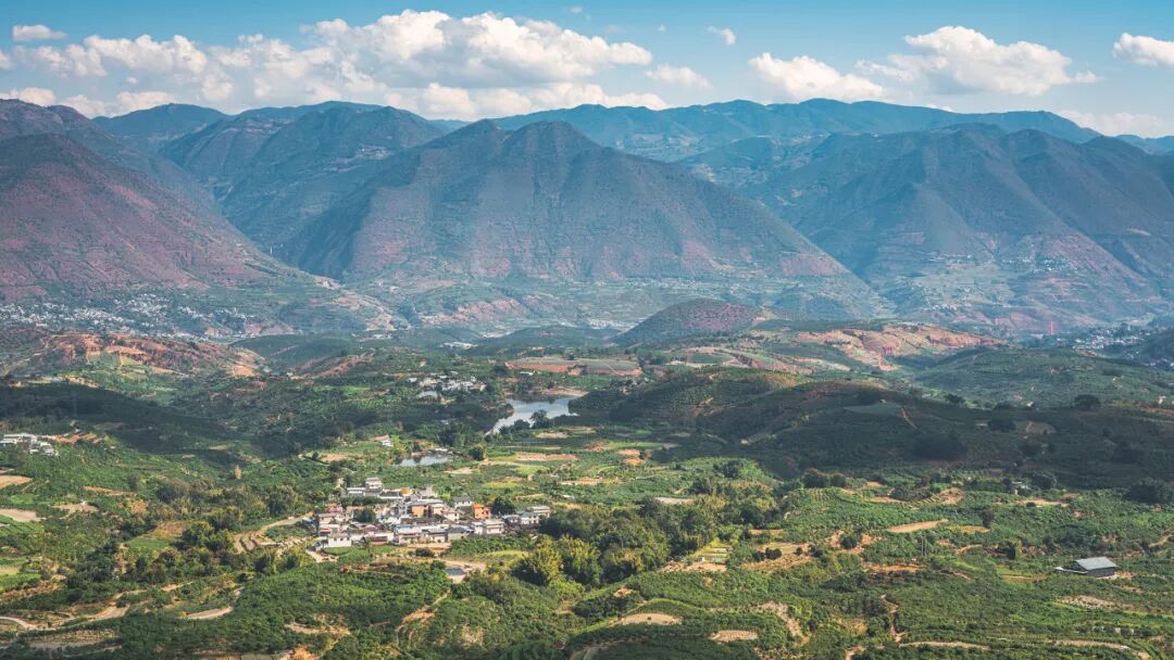 超适合“发呆”的小城，比昆明宜居，游客不及大理一半，四季如春，3元茶水免费续，10元咖啡喝到爽，洗掉一身班味儿！