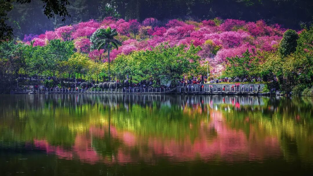 中国最“能熬夜”的城市，白天大街没人，凌晨2点人挤人，冬天满街鲜花，比成都还安逸，太适合养老了！