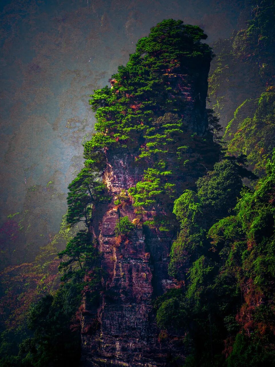 中国最“能熬夜”的城市，白天大街没人，凌晨2点人挤人，冬天满街鲜花，比成都还安逸，太适合养老了！