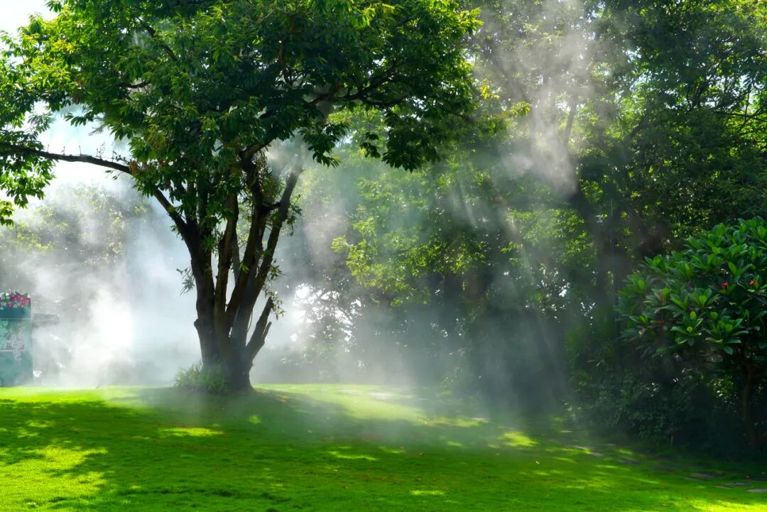 中国最“能熬夜”的城市，白天大街没人，凌晨2点人挤人，冬天满街鲜花，比成都还安逸，太适合养老了！