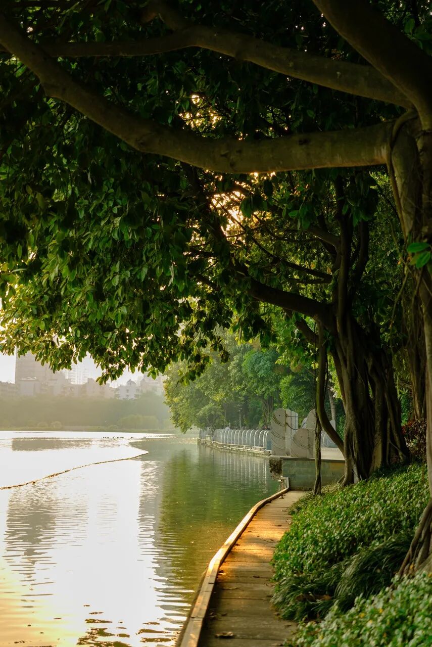 中国最“能熬夜”的城市，白天大街没人，凌晨2点人挤人，冬天满街鲜花，比成都还安逸，太适合养老了！