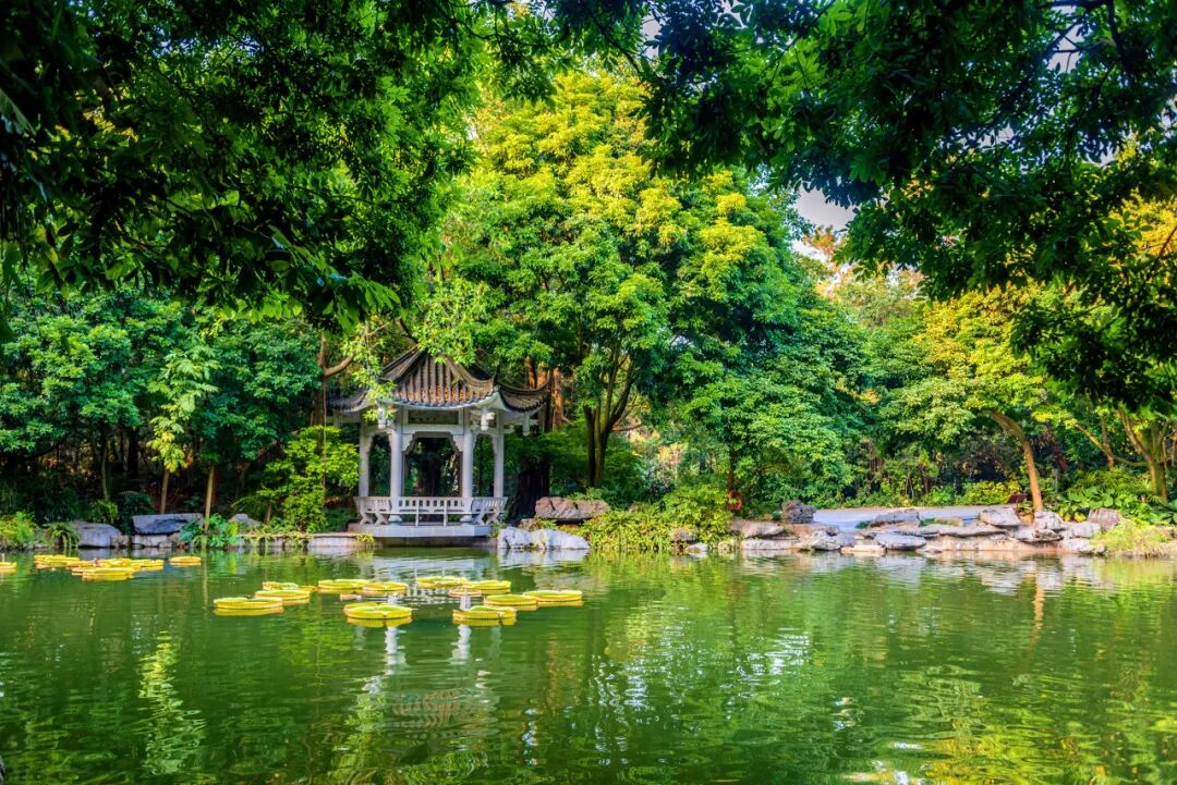 中国最“能熬夜”的城市，白天大街没人，凌晨2点人挤人，冬天满街鲜花，比成都还安逸，太适合养老了！