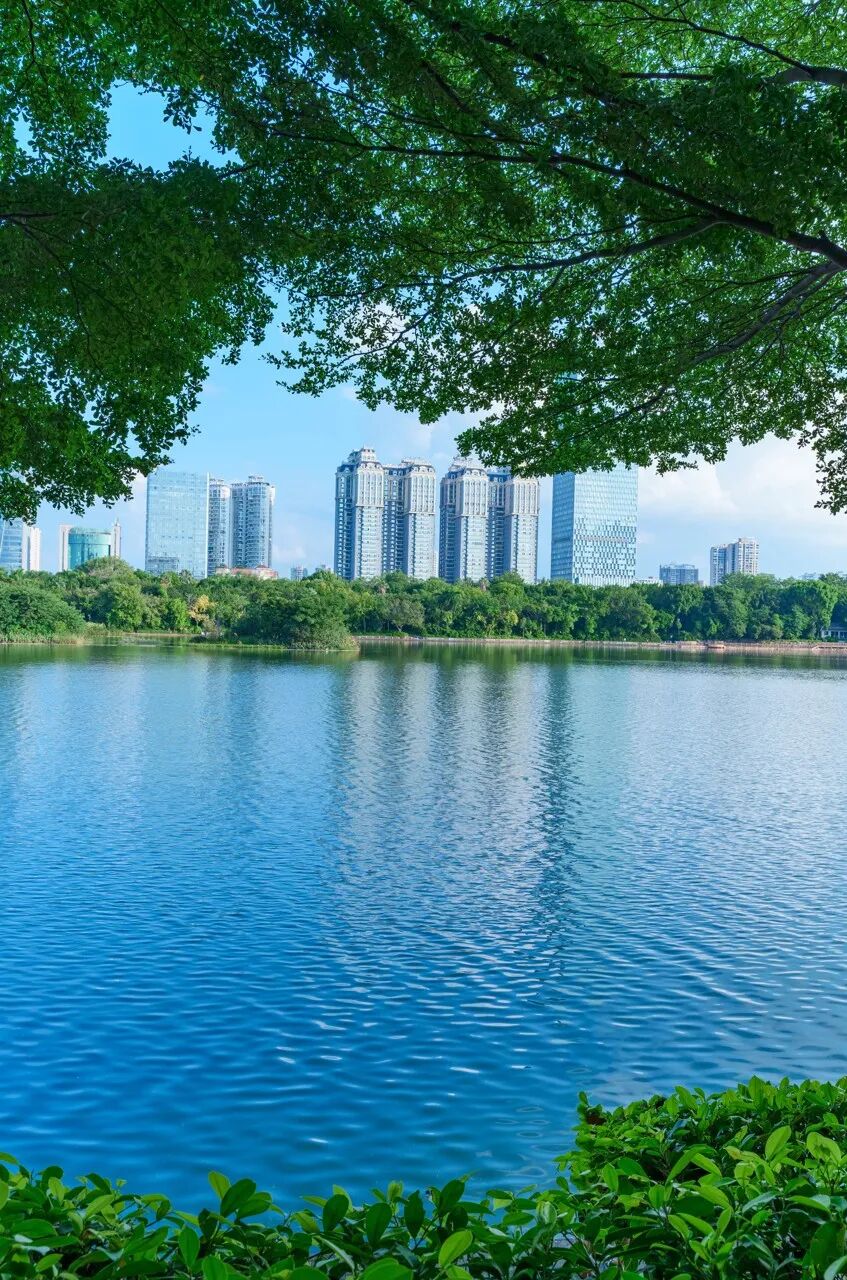 中国最“能熬夜”的城市，白天大街没人，凌晨2点人挤人，冬天满街鲜花，比成都还安逸，太适合养老了！