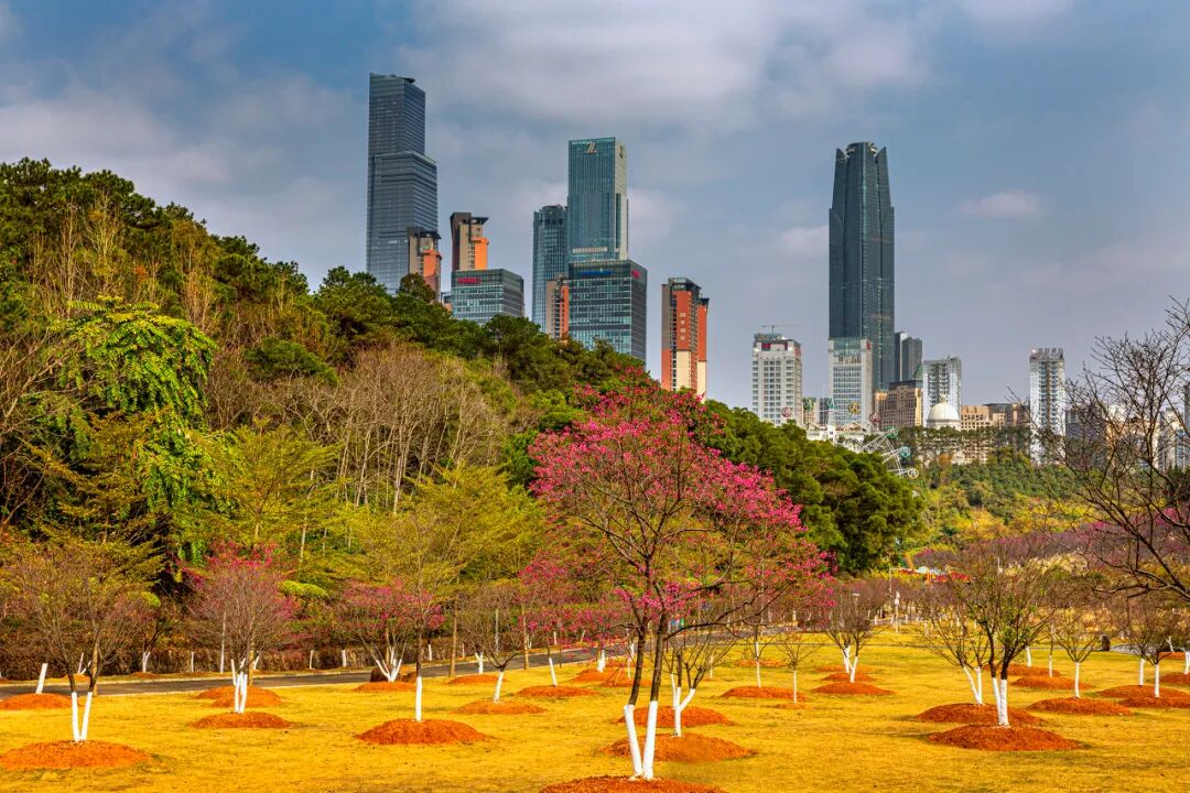 中国最“能熬夜”的城市，白天大街没人，凌晨2点人挤人，冬天满街鲜花，比成都还安逸，太适合养老了！