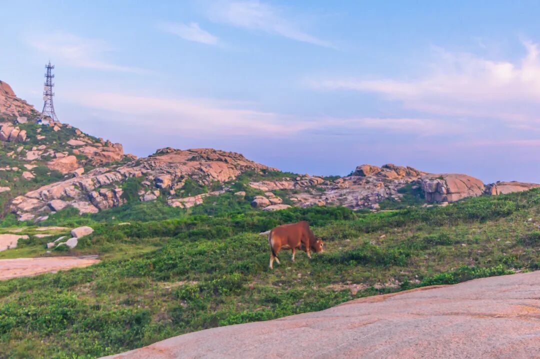 这个沿海小城是外国人最爱的中国城市NO.1，秒杀三亚，远超厦门，国内却榜上无名