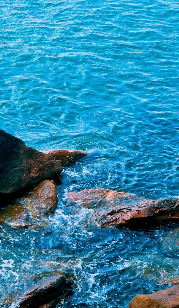 这个沿海小城是外国人最爱的中国城市NO.1，秒杀三亚，远超厦门，国内却榜上无名