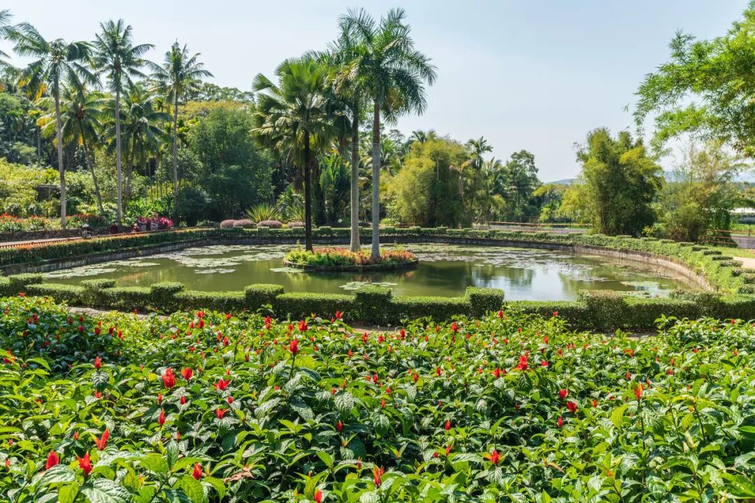 国内超适合躺平的海滨小城，海景不输巴厘岛，物价不到三亚一半，人少不扎堆，太宝藏了！