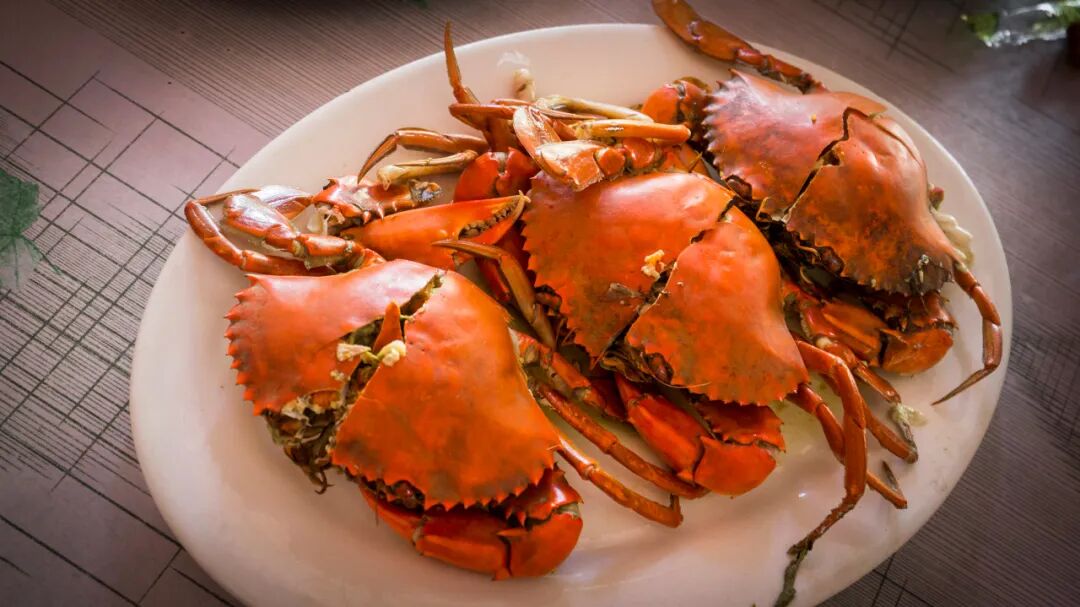 国内超适合躺平的海滨小城，海景不输巴厘岛，物价不到三亚一半，人少不扎堆，太宝藏了！