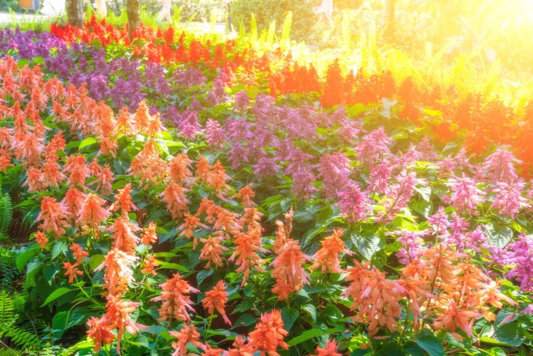 国内超适合躺平的海滨小城，海景不输巴厘岛，物价不到三亚一半，人少不扎堆，太宝藏了！