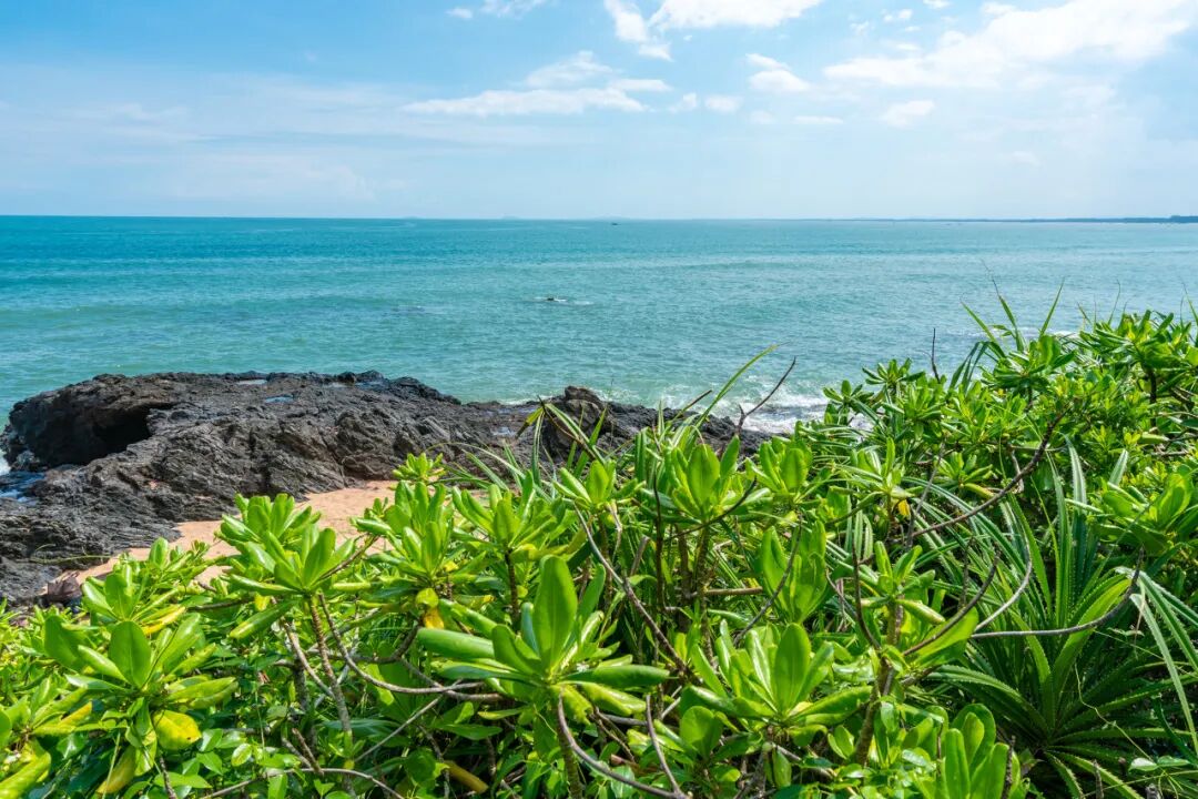 国内超适合躺平的海滨小城，海景不输巴厘岛，物价不到三亚一半，人少不扎堆，太宝藏了！