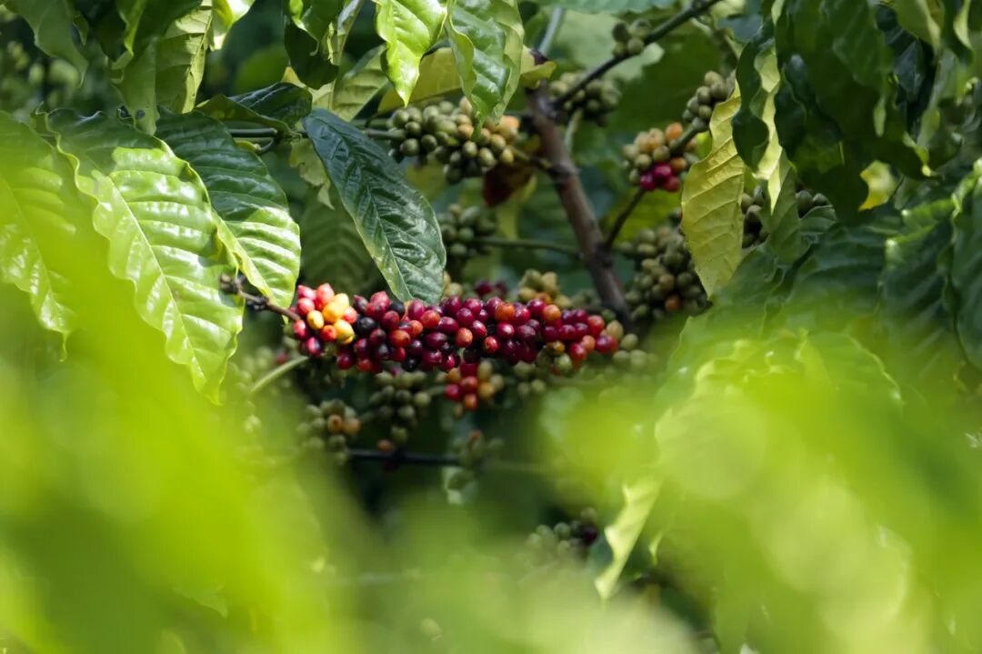 国内超适合躺平的海滨小城，海景不输巴厘岛，物价不到三亚一半，人少不扎堆，太宝藏了！