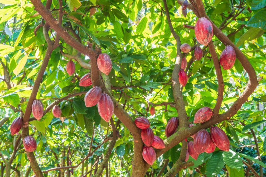 国内超适合躺平的海滨小城，海景不输巴厘岛，物价不到三亚一半，人少不扎堆，太宝藏了！