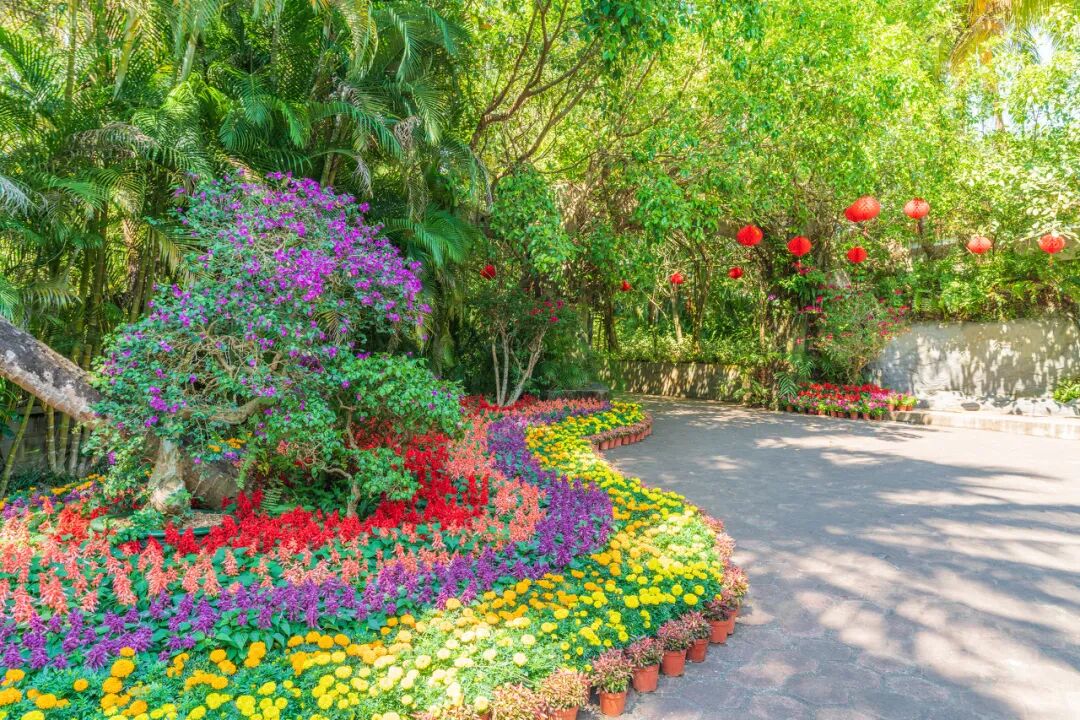 国内超适合躺平的海滨小城，海景不输巴厘岛，物价不到三亚一半，人少不扎堆，太宝藏了！