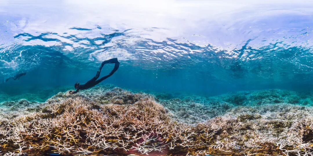 世上“全透明”的国家，房子没有墙，夜生活直播，遍地美女，崇尚裸体，这个静谧岛国到底有多开放？