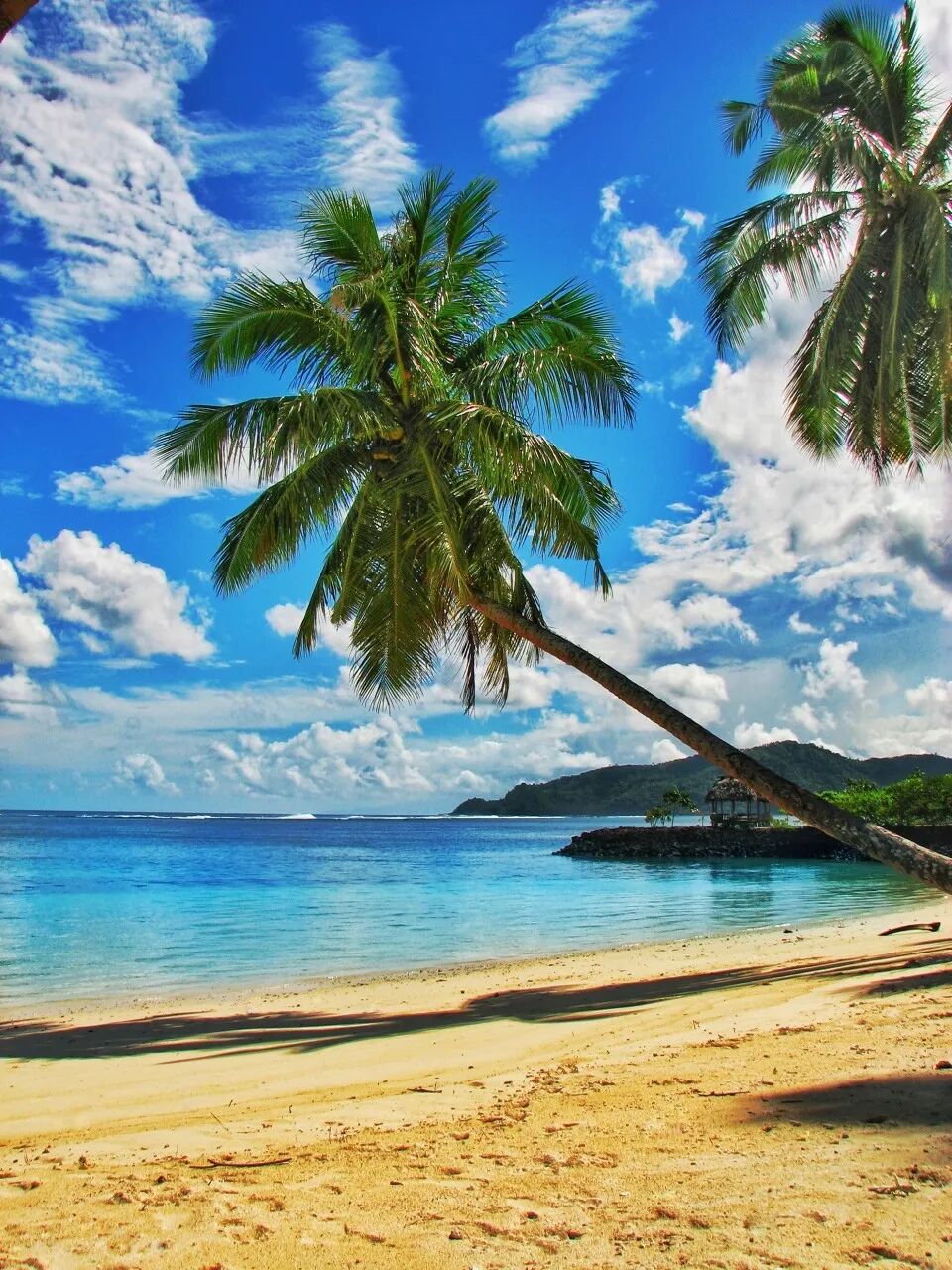 世上“全透明”的国家，房子没有墙，夜生活直播，遍地美女，崇尚裸体，这个静谧岛国到底有多开放？