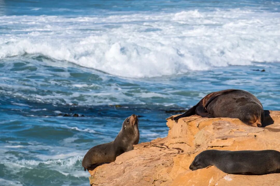 世界最孤独的国家，方圆1600公里没有邻国，一年放假140天，钱多到花不完，风景美如天堂