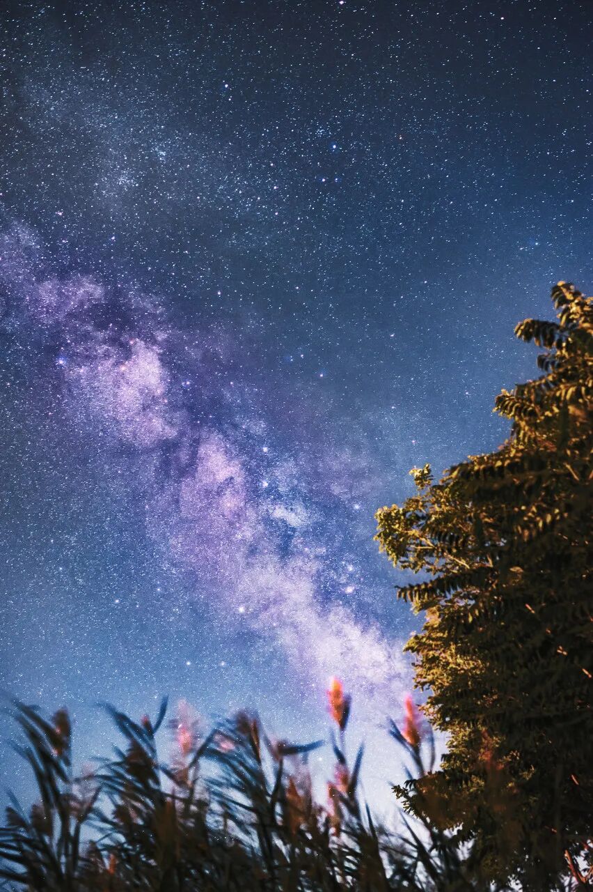 中国最没存在感的省份，不是荒漠，就是丘陵，却被称“塞上江南”，网友：想低调但实力不允许！