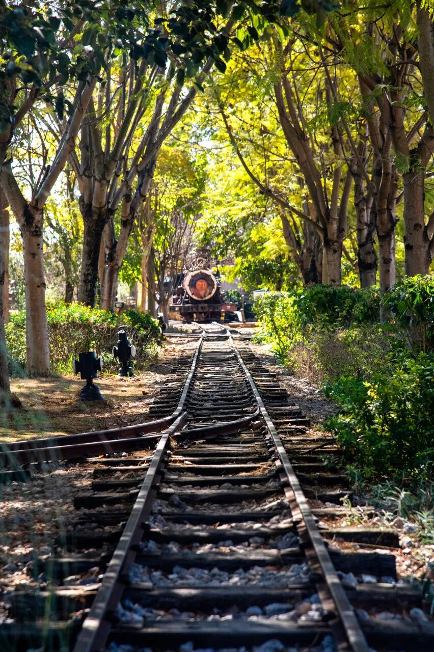 凭一碗米线火遍全国，物价超低，全年平均18℃，被称“小法国”，是云南人的最爱，外地人却少有人知！
