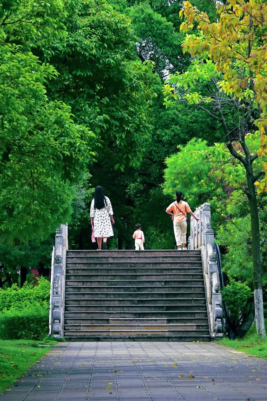 凭一碗米线火遍全国，物价超低，全年平均18℃，被称“小法国”，是云南人的最爱，外地人却少有人知！