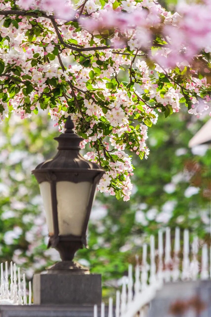 中国最快乐的城市，曾是北方NO.1，GDP前十不内卷，比县城都幸福，去一次相当于环游世界！