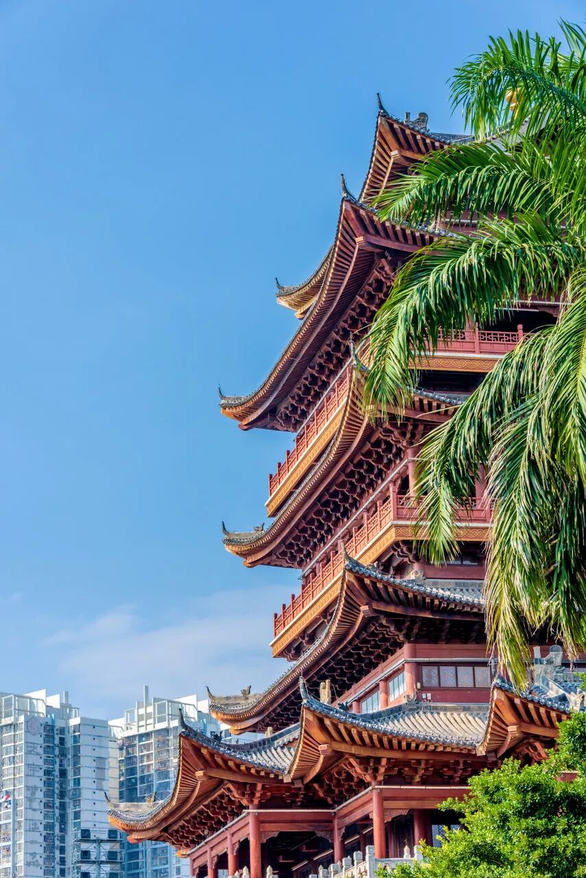 中国最“能熬夜”的城市，白天大街没人，凌晨2点人挤人，冬天满街鲜花，比成都还安逸，太适合养老了！