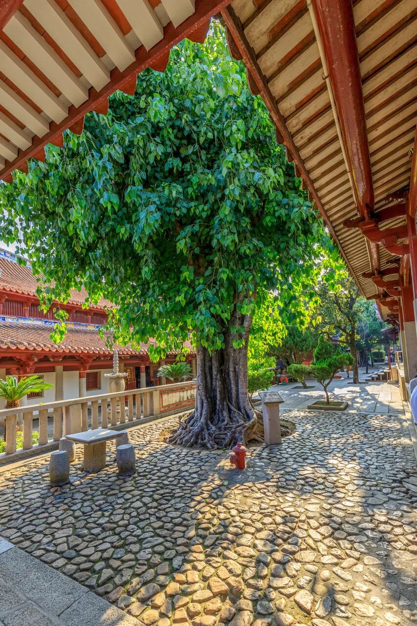 中国最早的国际大都市,不是上海,安逸了千年才被发现