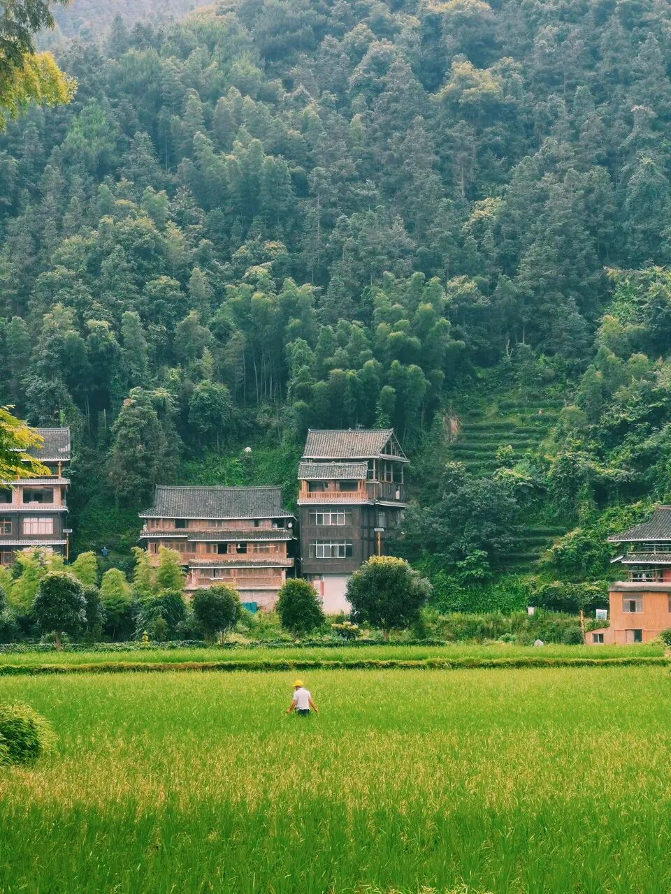 中国最“上头”的城市，3元逛遍全城，比成都更安逸，隐匿了千年，却因一碗粉让全国人上瘾！