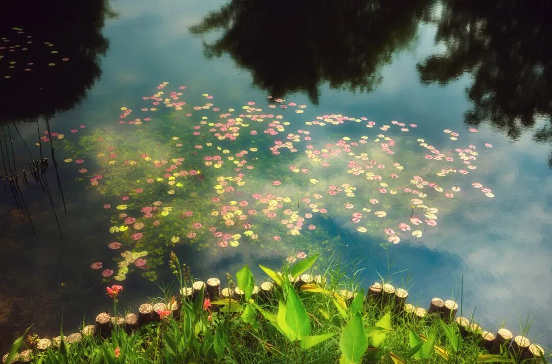 中国最“上头”的城市，3元逛遍全城，比成都更安逸，隐匿了千年，却因一碗粉让全国人上瘾！