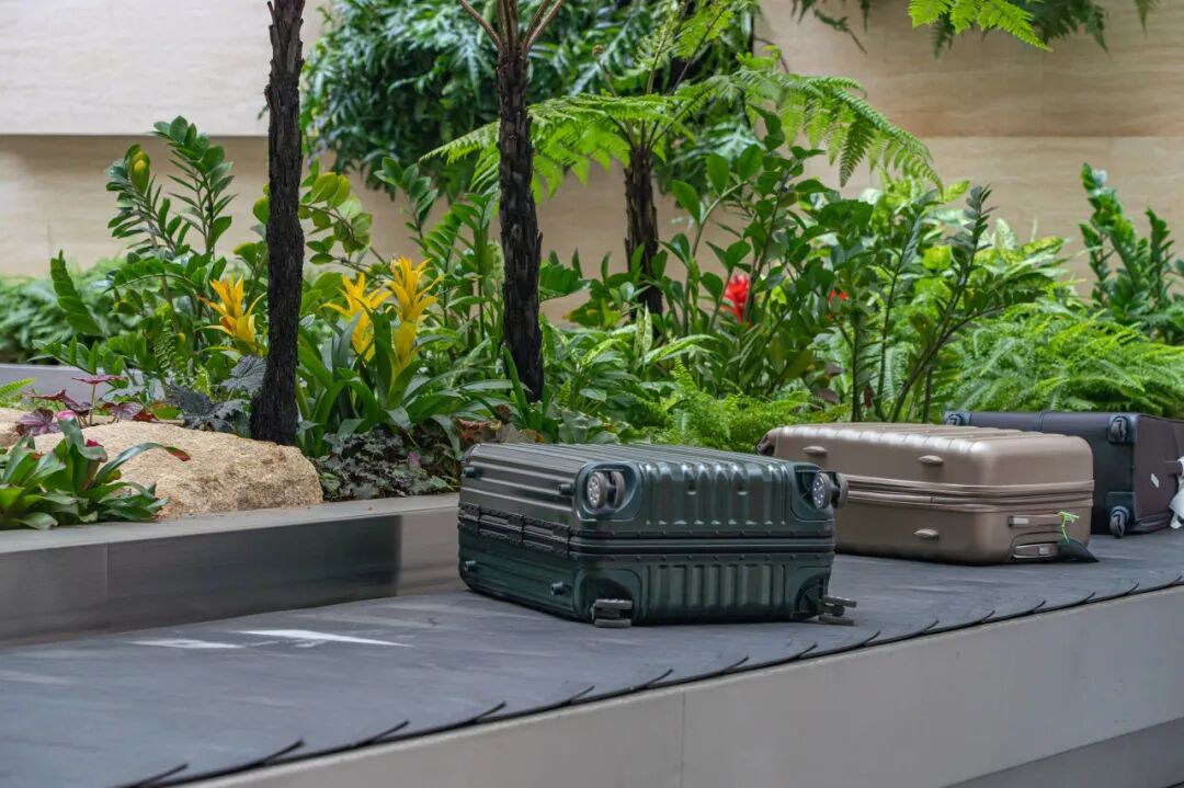 亚洲最幸福的国家，坐拥世界唯一五星机场，遍地花园，地摊都是米其林，但一不小心会赔个底朝天