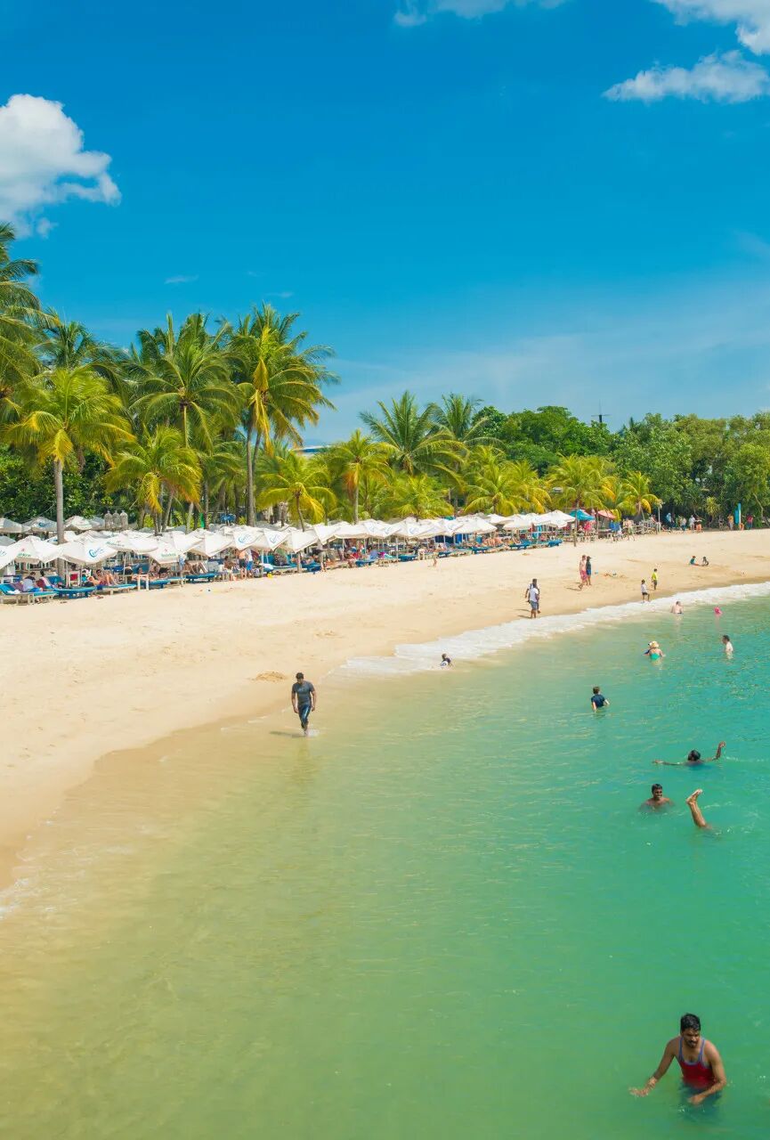 亚洲最幸福的国家，坐拥世界唯一五星机场，遍地花园，地摊都是米其林，但一不小心会赔个底朝天