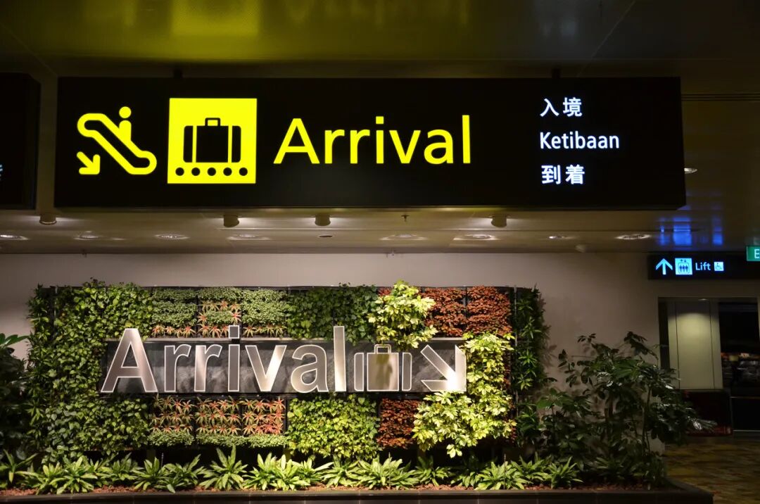 亚洲最幸福的国家，坐拥世界唯一五星机场，遍地花园，地摊都是米其林，但一不小心会赔个底朝天