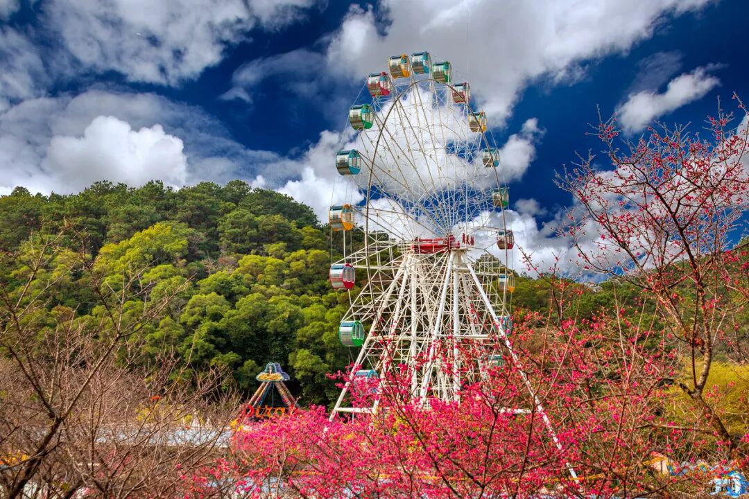 中国最“能熬夜”的城市，凌晨2点不睡觉，幸福感不输成都，小住几日太舒服！