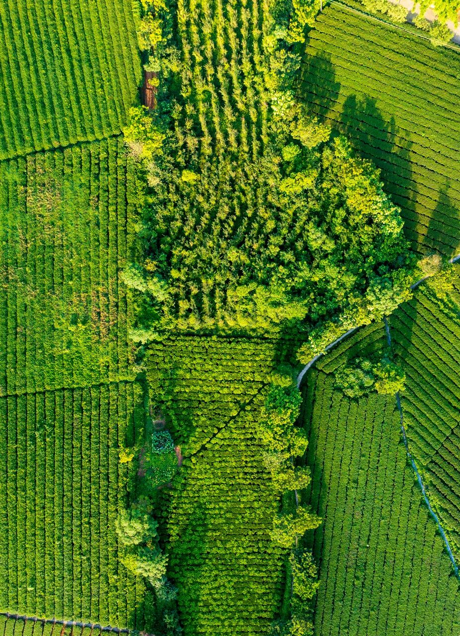 中国最“能熬夜”的城市，凌晨2点不睡觉，幸福感不输成都，小住几日太舒服！