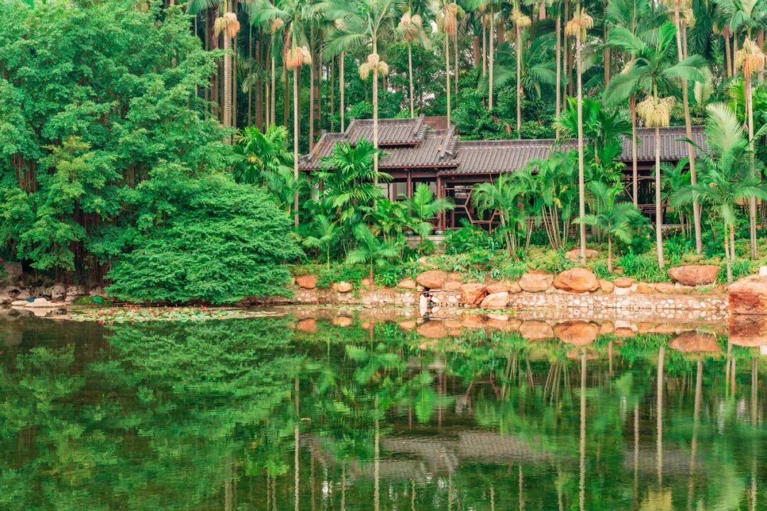 中国最“能熬夜”的城市，凌晨2点不睡觉，幸福感不输成都，小住几日太舒服！