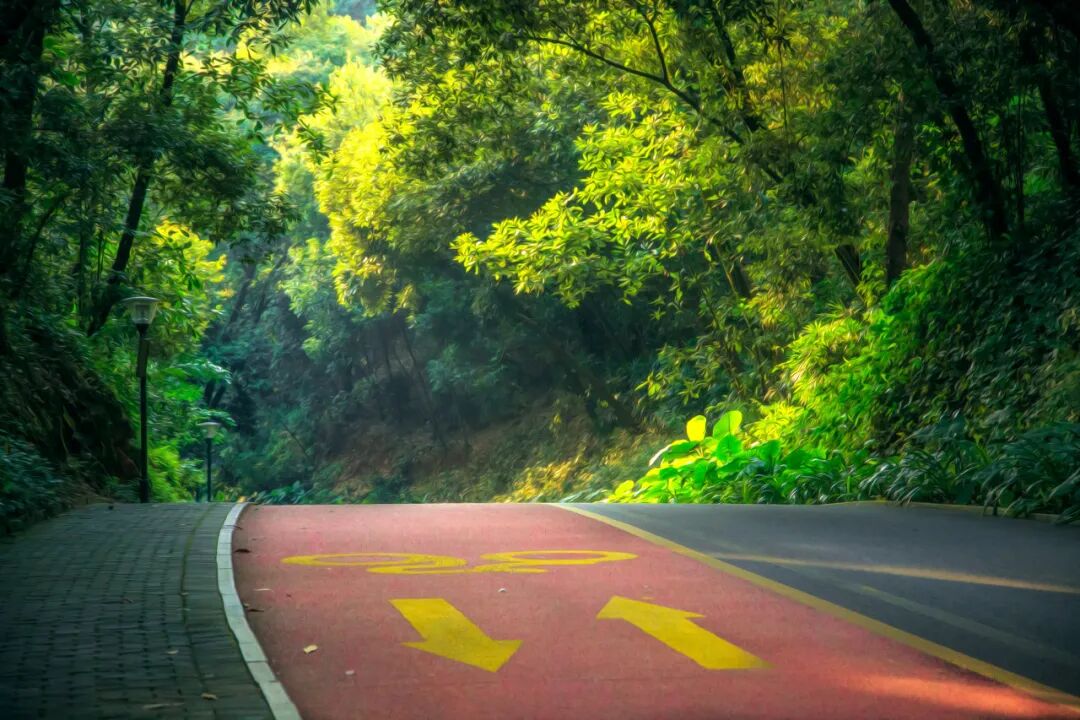 中国最“能熬夜”的城市，凌晨2点不睡觉，幸福感不输成都，小住几日太舒服！