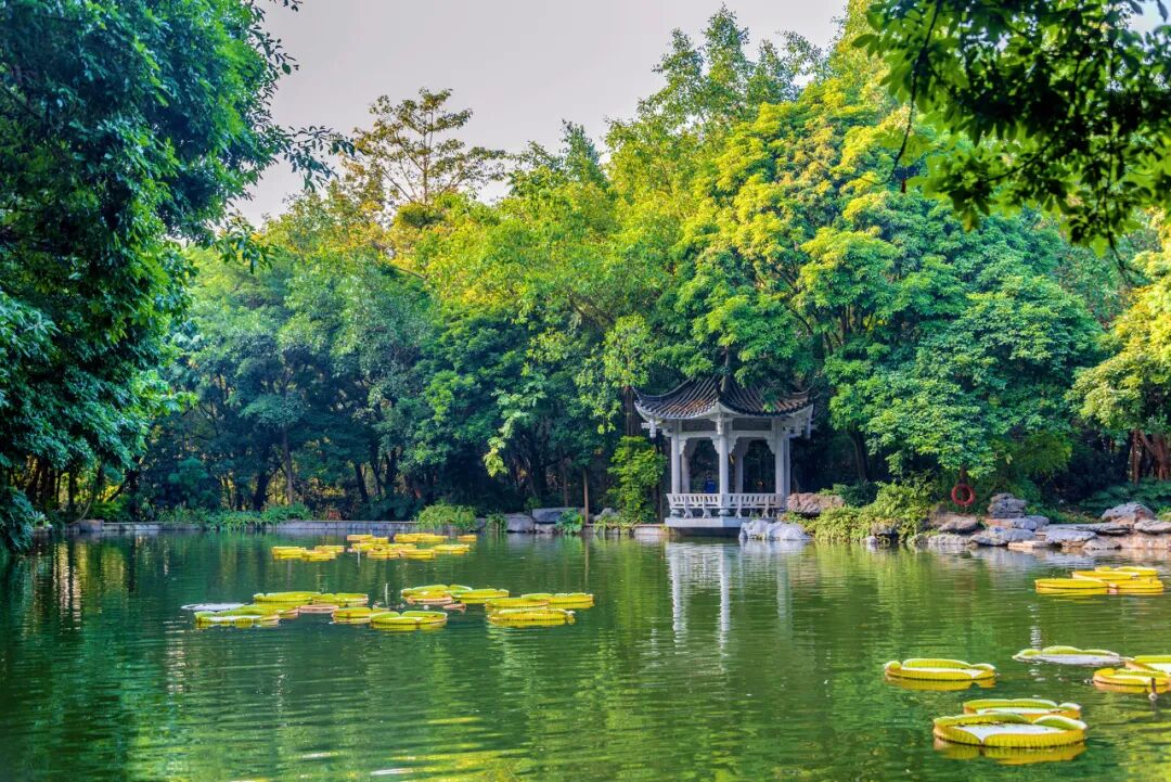 中国最“能熬夜”的城市，凌晨2点不睡觉，幸福感不输成都，小住几日太舒服！