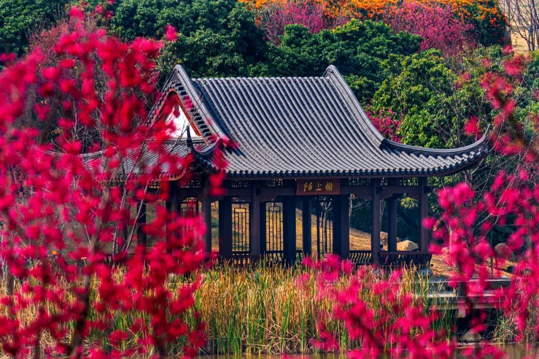 中国最“能熬夜”的城市，凌晨2点不睡觉，幸福感不输成都，小住几日太舒服！