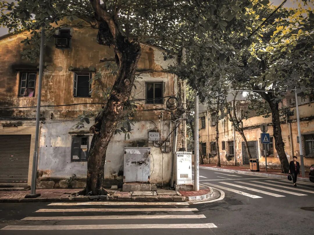 中国最“隐秘”的城市，比厦门浪漫，比大连惬意，海鲜吃到撑，养老NO.1