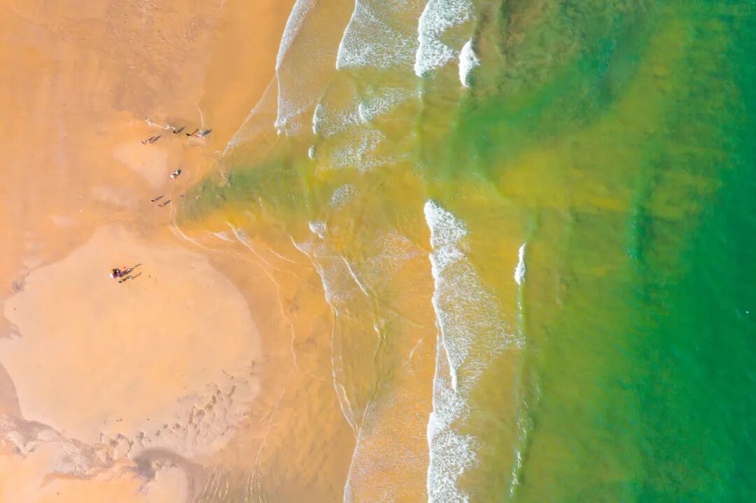 中国最“隐秘”的城市，比厦门浪漫，比大连惬意，海鲜吃到撑，养老NO.1