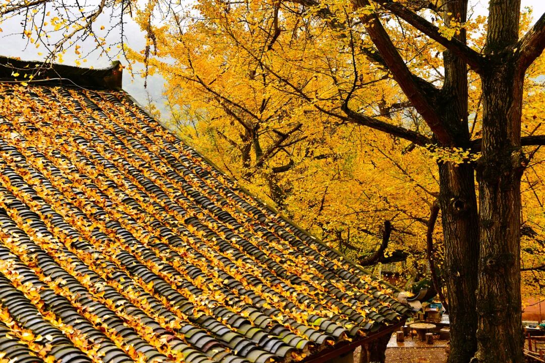 中国最不能辜负的12个古镇，累了就去小住几日吧！