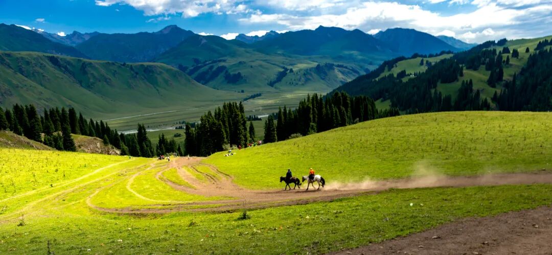 中国最美公路终于通车！一年只开通4个月，贯穿N种自然风光，一天看四季，错过再等一年！