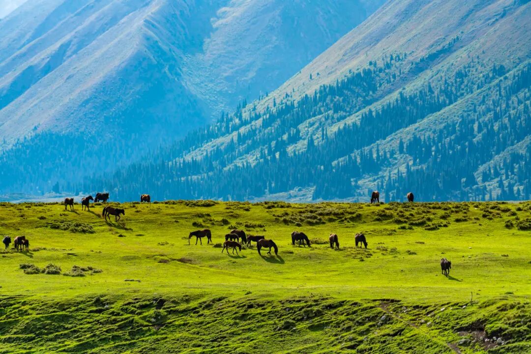 中国最美公路终于通车！一年只开通4个月，贯穿N种自然风光，一天看四季，错过再等一年！