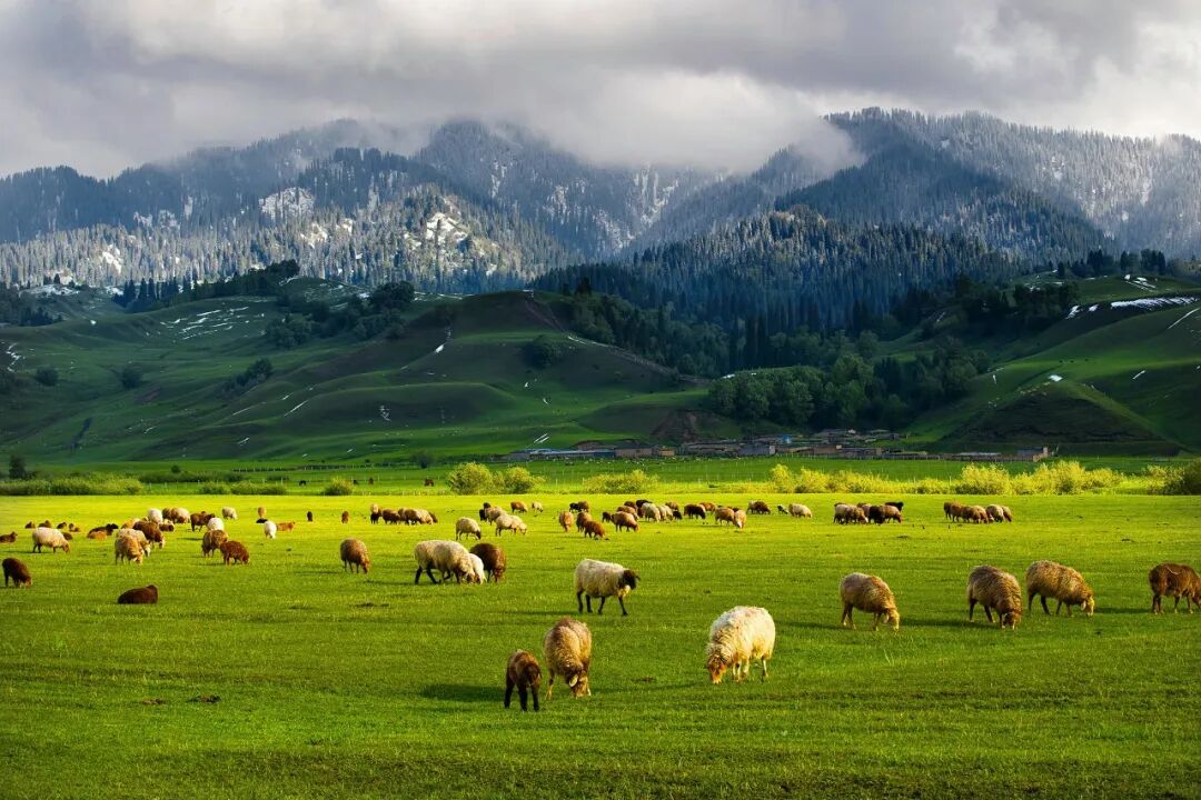 中国最美公路终于通车！一年只开通4个月，贯穿N种自然风光，一天看四季，错过再等一年！