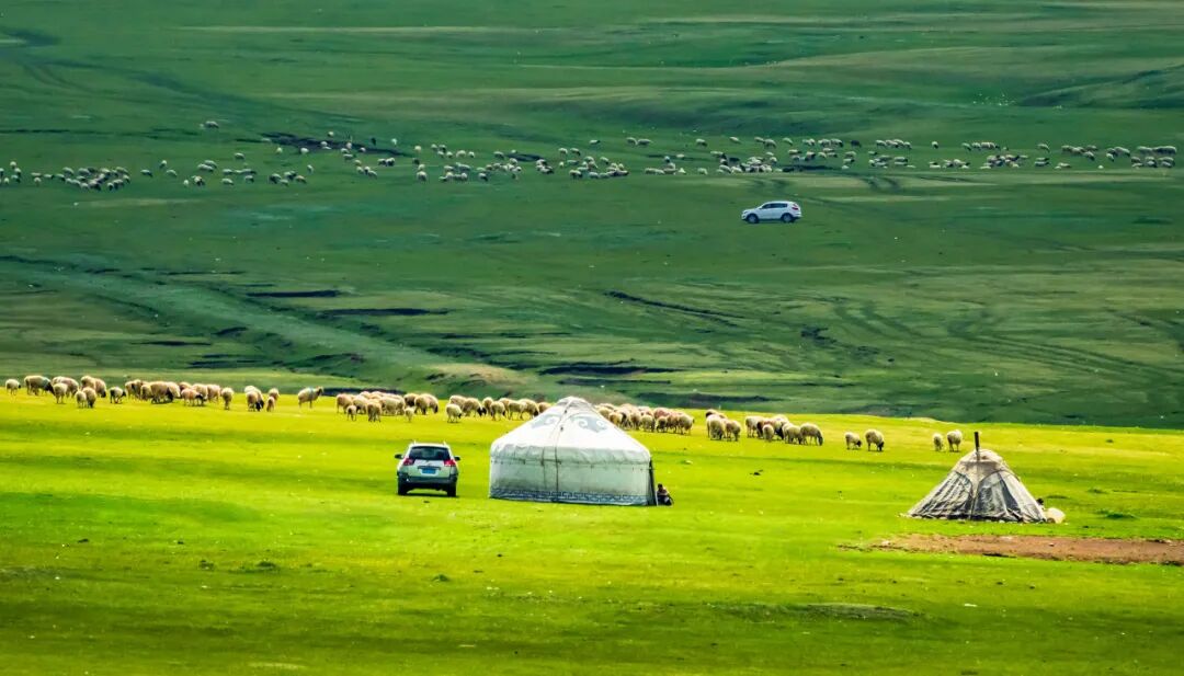 中国最美公路终于通车！一年只开通4个月，贯穿N种自然风光，一天看四季，错过再等一年！