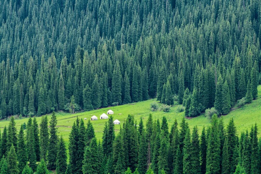 中国最美公路终于通车！一年只开通4个月，贯穿N种自然风光，一天看四季，错过再等一年！