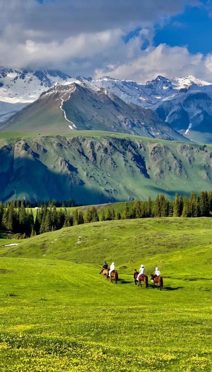 中国最美公路终于通车！一年只开通4个月，贯穿N种自然风光，一天看四季，错过再等一年！