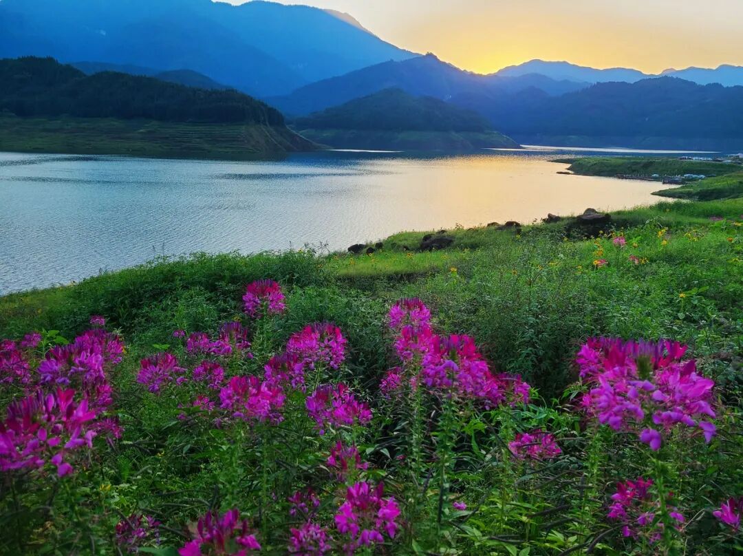 四川又一条古街爆火！门票0元，夜景不输大唐，被誉为“川西大宋不夜城”