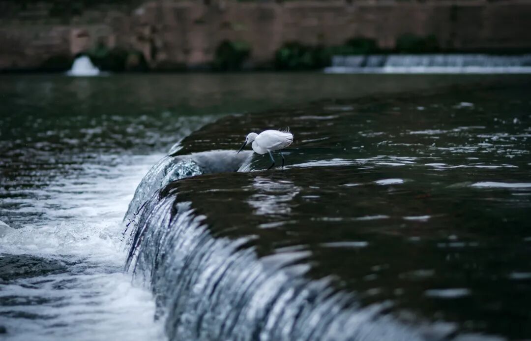 四川又一条古街爆火！门票0元，夜景不输大唐，被誉为“川西大宋不夜城”