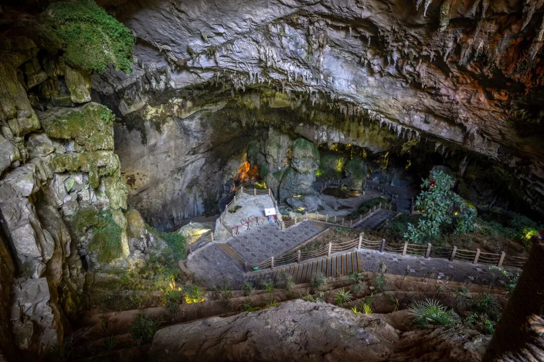 高铁直达！被4月漫山花海狠狠惊艳到！巨美